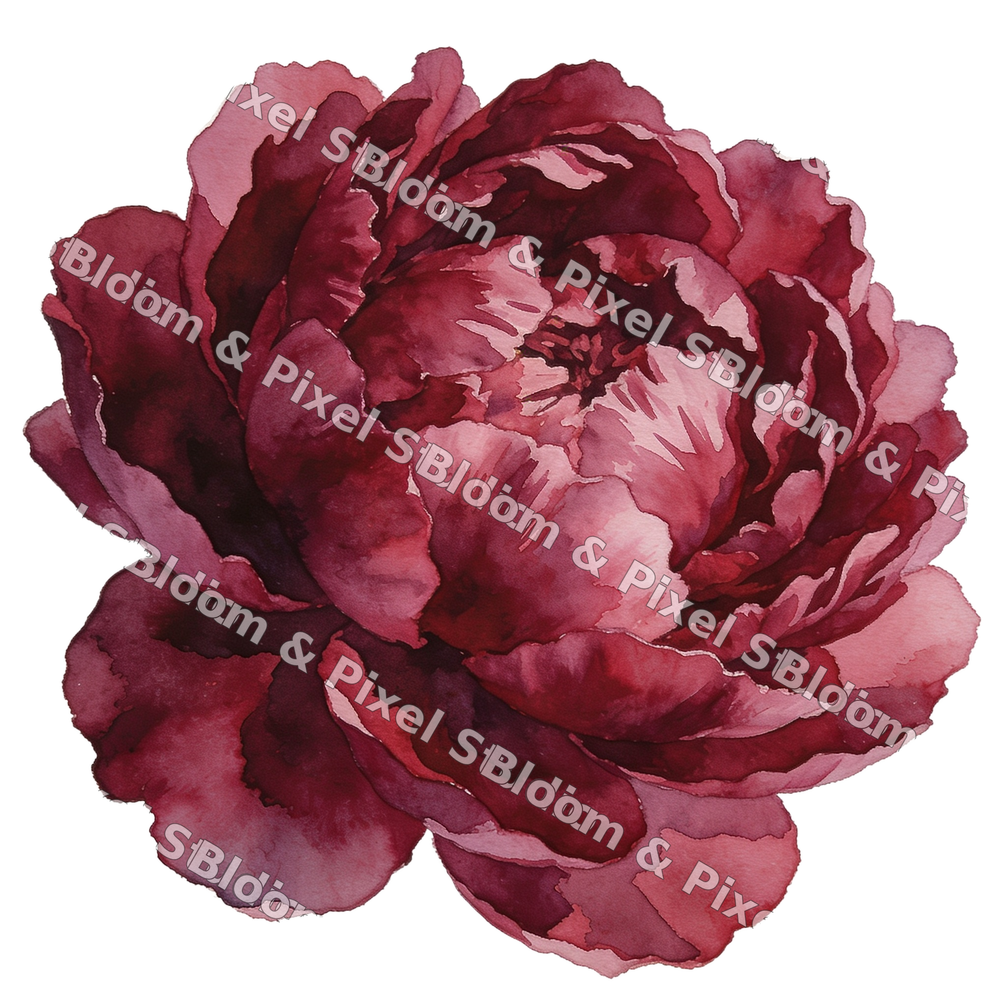 Watercolor Florals preview (watermarked)